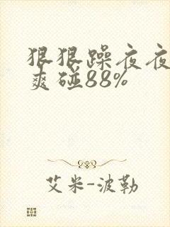 狠狠躁夜夜躁人爽碰88%