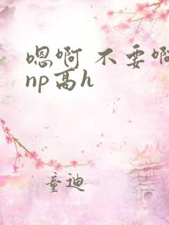 嗯啊 不要啊 np高h