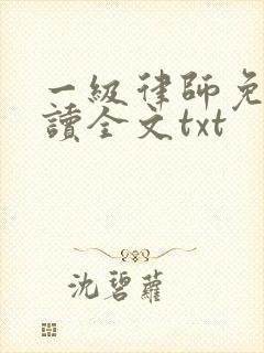 一级律师免费阅读全文txt