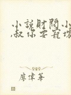 小说财阀小娇妻,叔你要宠坏我了笔趣阁阅读