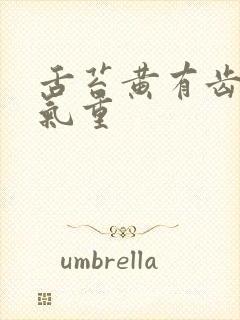 舌苔黄有齿痕湿气重