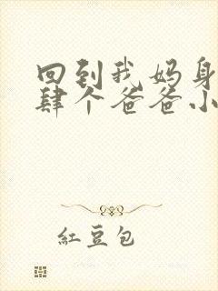 回到我妈身边后肆个爸爸小说