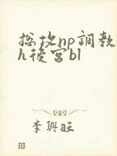 总攻np调教高h后宫bl