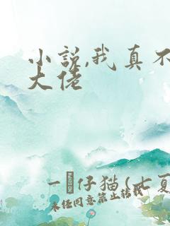 小说,我真不是大佬