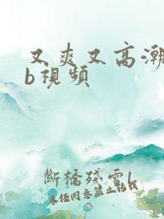 又爽又高潮的bb视频