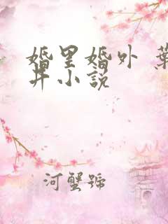 婚里婚外 叶晓井小说