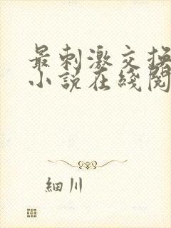 最刺激交换夫妇小说在线阅读