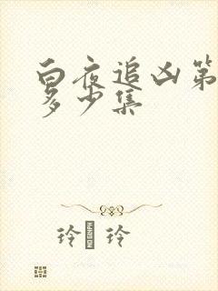 白夜追凶第一季多少集