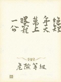 一眼万年绝美老公宠上天短剧