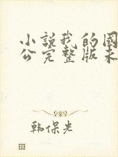 小说我的国民老公完整版未删减小说