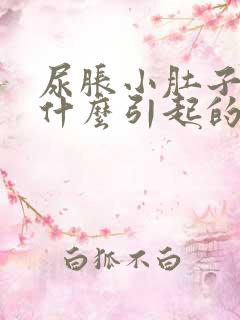 尿胀小肚子疼是什么引起的