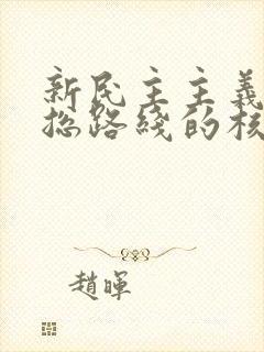 新民主主义革命总路线的核心是: