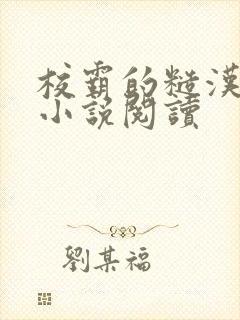 校霸的糙汉爸爸小说阅读