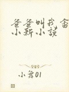 爸爸叫我畲妈妈小新小说