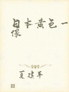 日本黄色一级录像