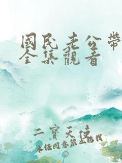 国民老公带回家全集观看