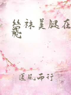 丝袜美腿在线双飞