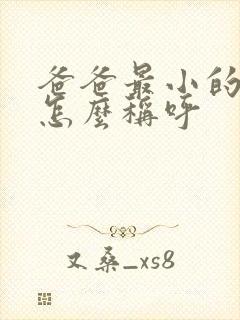 爸爸最小的弟弟怎么称呼