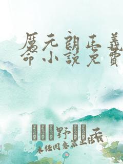 厉元朗正义的使命小说免费阅读