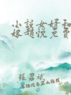 小说女婿和丈母娘赵悦免费阅读