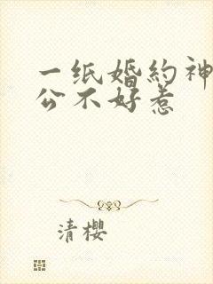 一纸婚约神秘老公不好惹