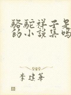 骆驼祥子是鲁迅的小说集吗