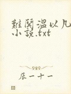 难哄温以凡桑延小说.txt