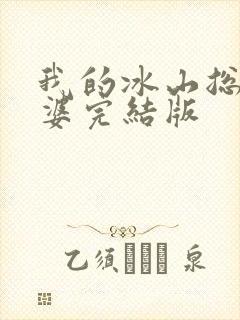 我的冰山总裁老婆完结版