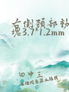 右侧颈部动脉斑块3.7*1.2mm