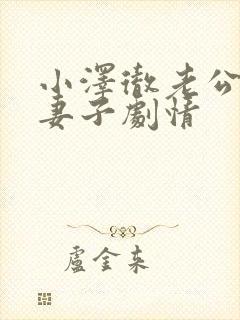 小泽彻老公原谅妻子剧情