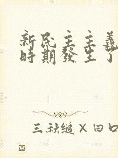 新民主主义革命时期发生了什么