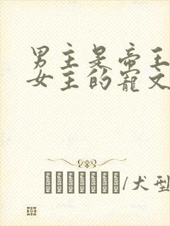 男主是帝王暗恋女主的宠文