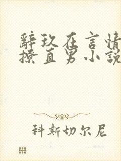 辞玖在言情文里撩直男小说