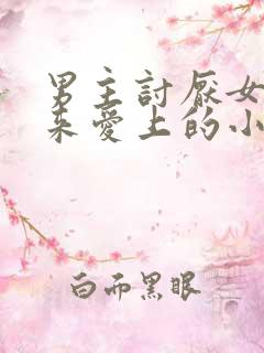 男主讨厌女主后来爱上的小说