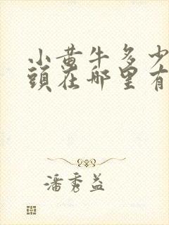 小黄牛多少钱一头在哪里有卖