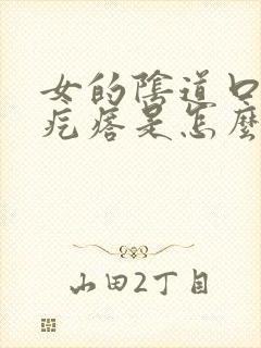 女的阴道口长硬疙瘩是怎么回事