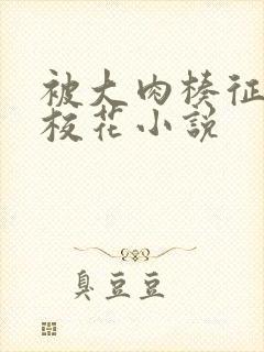 被大肉楱征服的校花小说