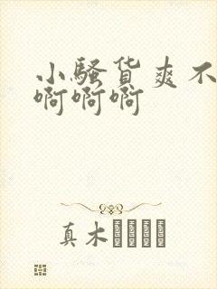 小骚货爽不爽啊啊啊啊