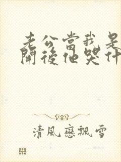 老公当我是我离开后他哭什么小说