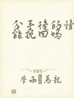 分手后的情人还能挽回吗