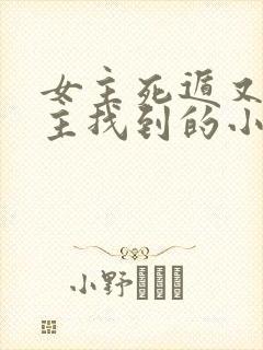 女主死遁又被男主找到的小说