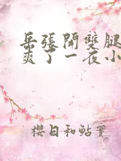 岳张开双腿让我爽了一夜小说