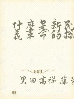 什么是新民主主义革命的总路线 主权问题