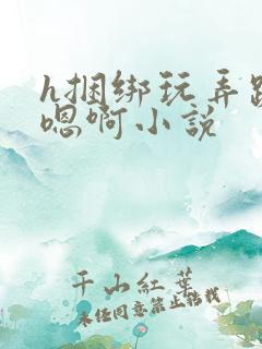 h捆绑玩弄跪趴嗯啊小说