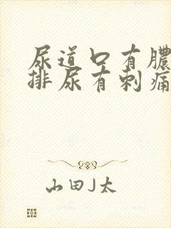 尿道口有脓水 排尿有刺痛感