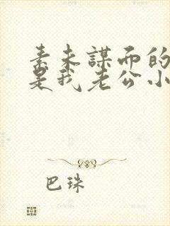 素未谋面的上司是我老公小说免费阅读