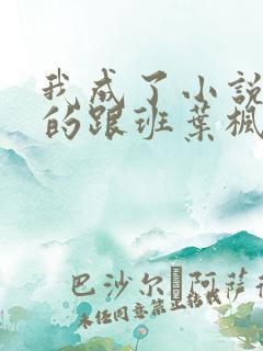 我成了小说反派的跟班叶枫