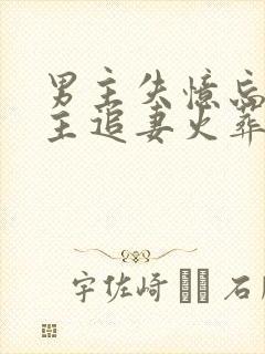 男主失忆忘了女主追妻火葬场