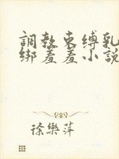 调教束缚乳夹捆绑羞羞小说