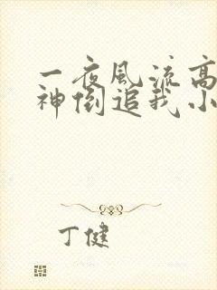 一夜风流高冷女神倒追我小说免费阅读无弹窗